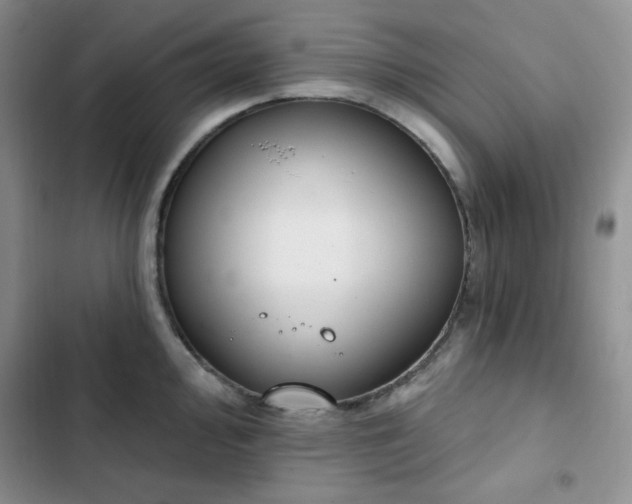 X0000102851000200808251158