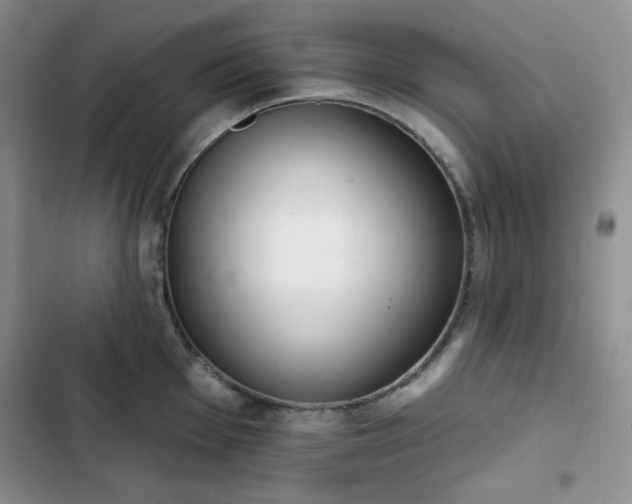 X0000102851001200808251158