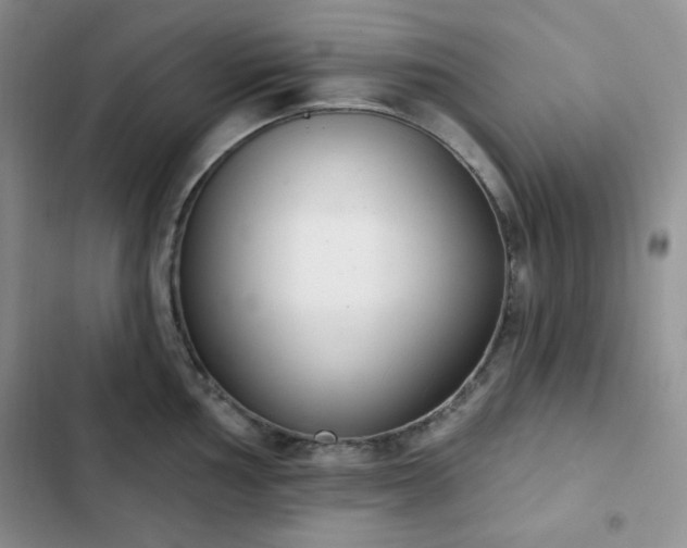 X0000102851002200808251158