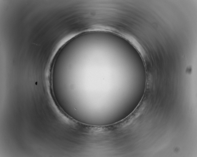X0000102851003200808251158