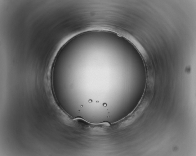 X0000102851004200808251158