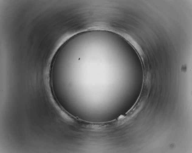 X0000102851005200808251158