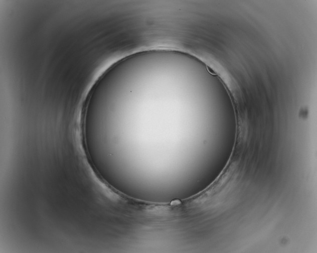 X0000102851006200808251158