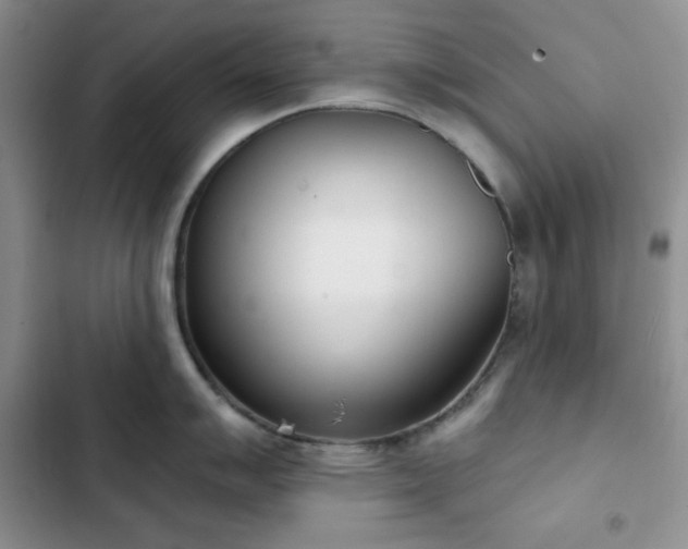 X0000102851007200808251158