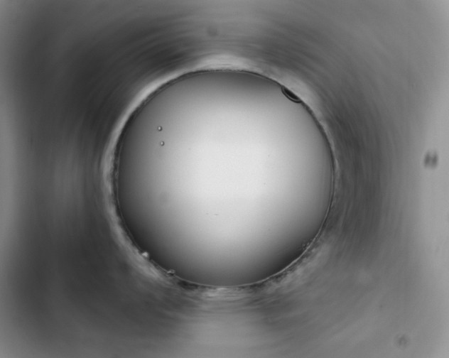 X0000102851008200808251158