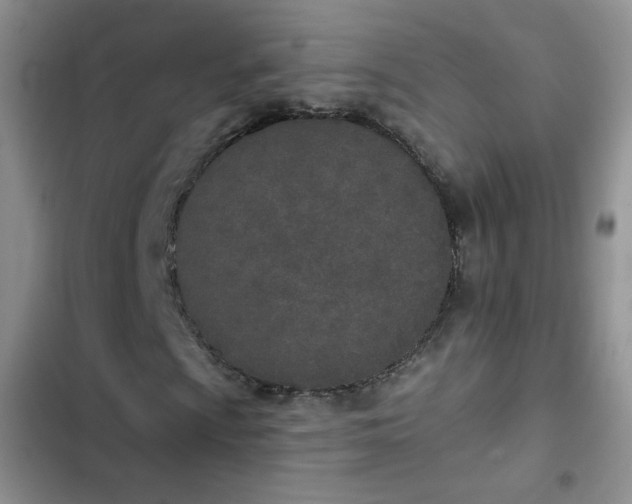 X0000102851009200808251157