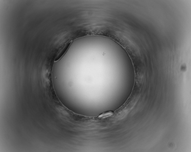 X0000102851010200808251157