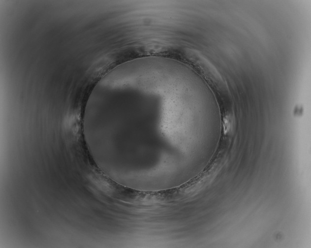 X0000102851011200808251157