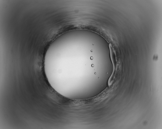 X0000102851012200808251157
