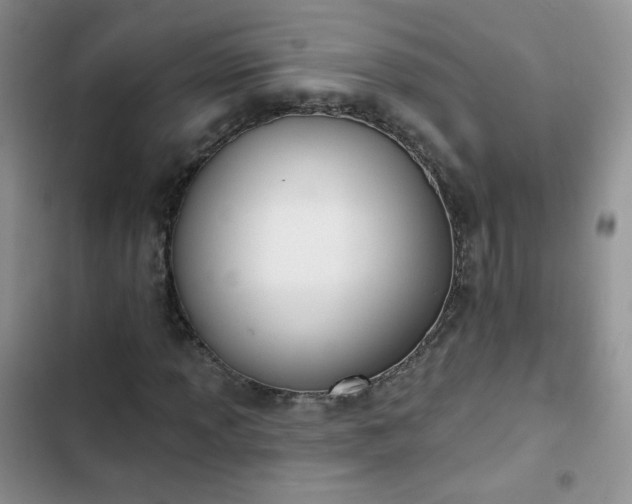 X0000102851013200808251157