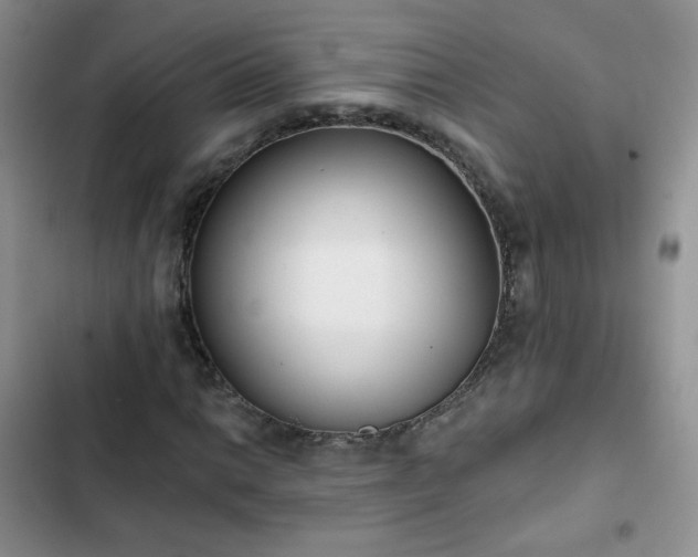 X0000102851014200808251157