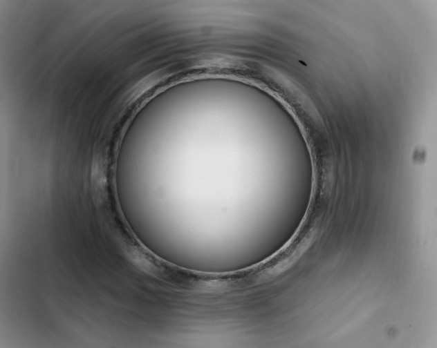 X0000102851017200808251157