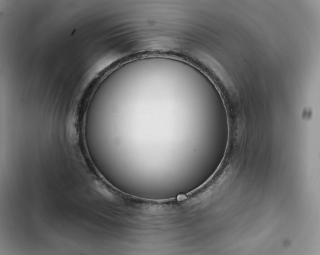 X0000102851018200808251157