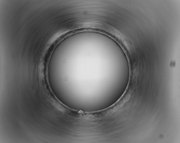 X0000102851019200808251157