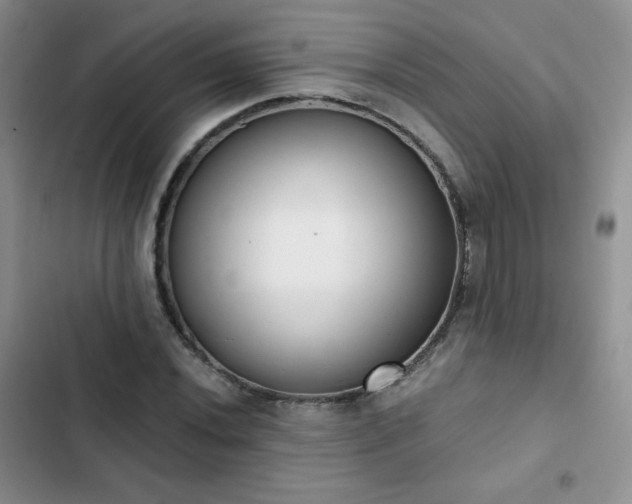 X0000102851020200808251157
