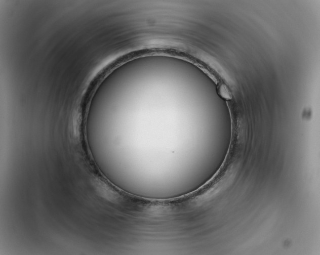 X0000102851021200808251157