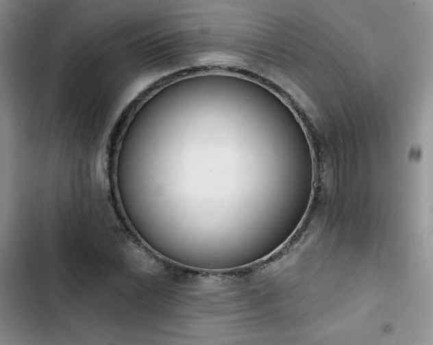 X0000102851022200808251157