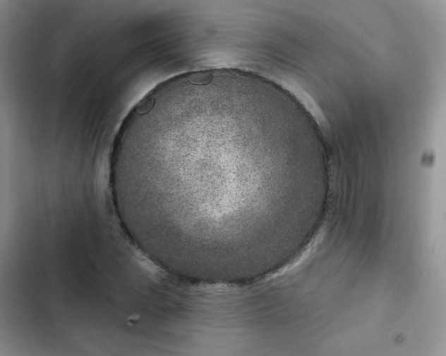 X0000102851023200808251157