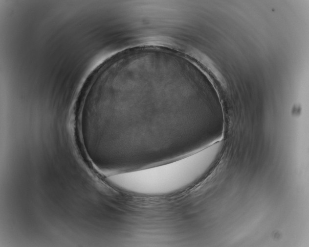 X0000102851024200808251157