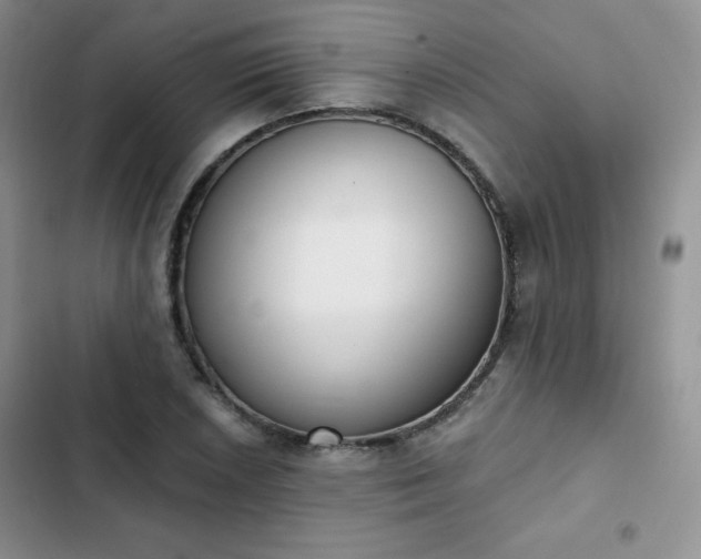 X0000102851026200808251157