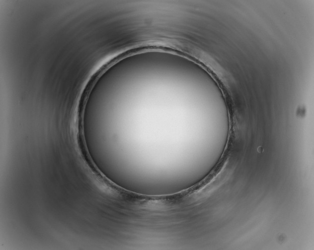 X0000102851028200808251157