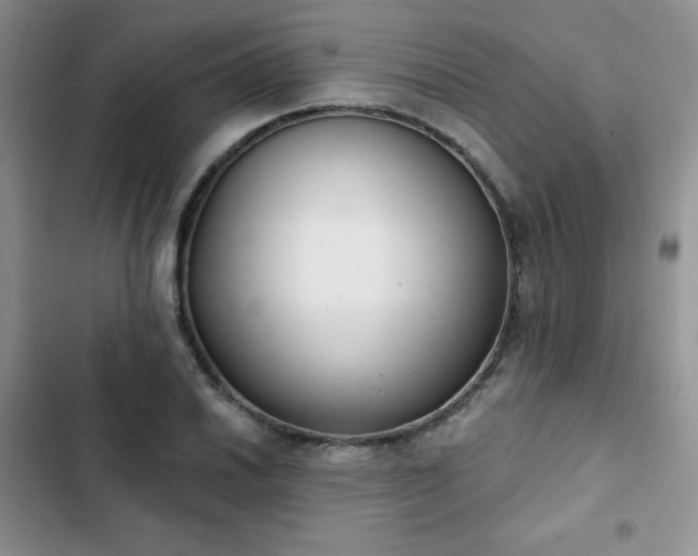 X0000102851030200808251157