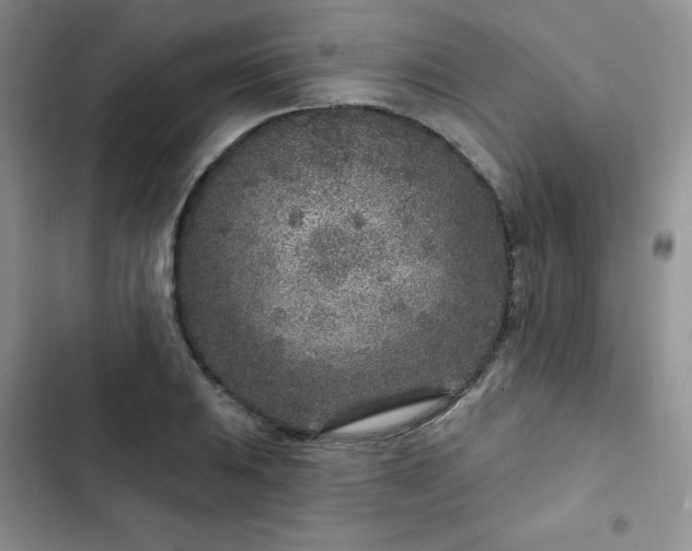 X0000102851031200808251157