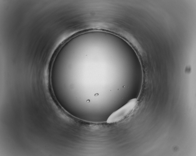 X0000102851032200808251157
