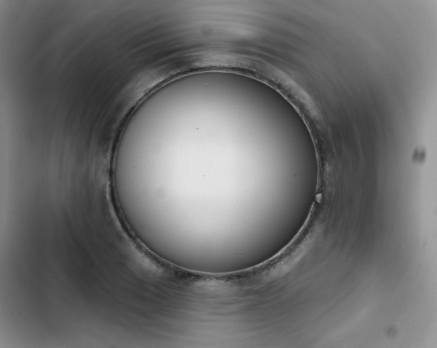 X0000102851033200808251157