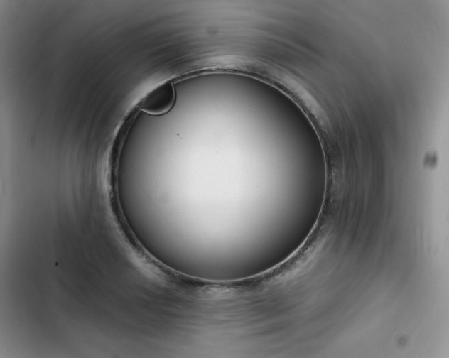 X0000102851034200808251157
