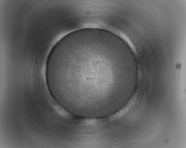 X0000102851035200808251157