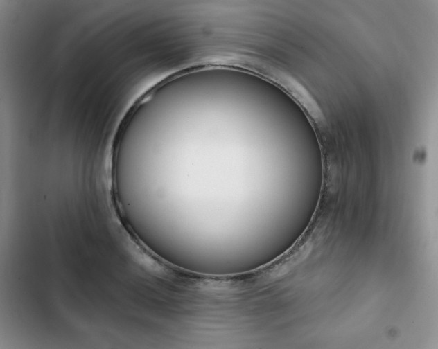 X0000102851036200808251157
