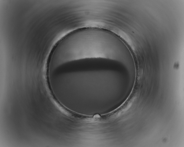 X0000102851037200808251157