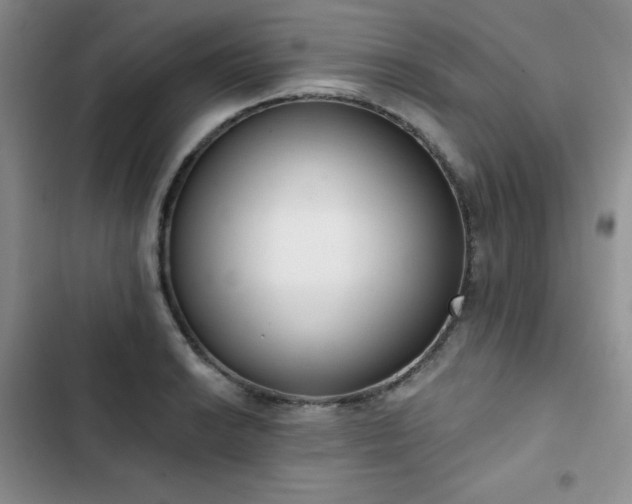 X0000102851038200808251157