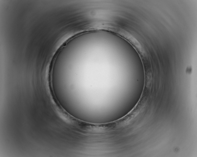 X0000102851039200808251157
