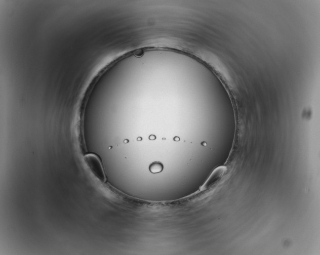 X0000102851040200808251157