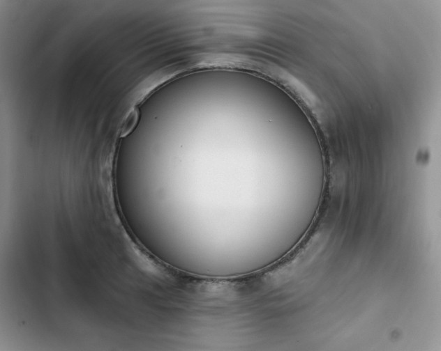 X0000102851041200808251157