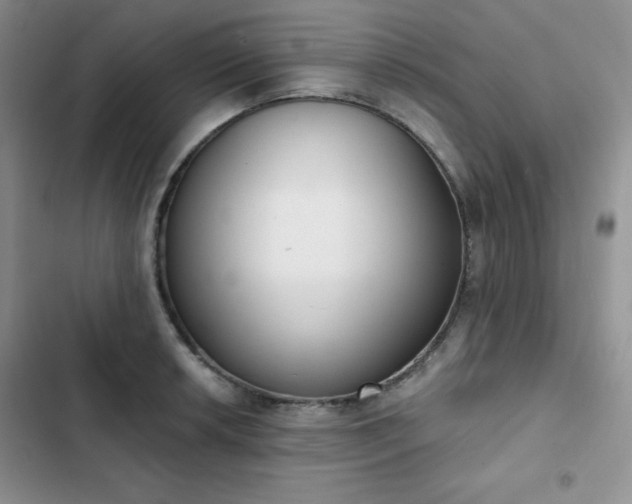 X0000102851042200808251157