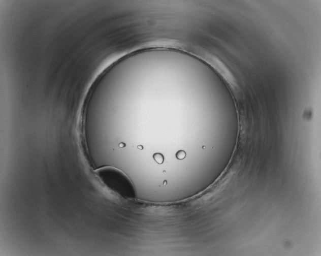 X0000102851044200808251157