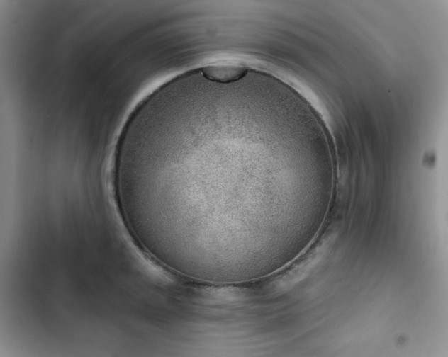 X0000102851045200808251157