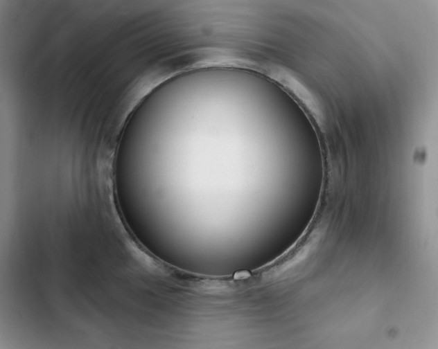 X0000102851049200808251158
