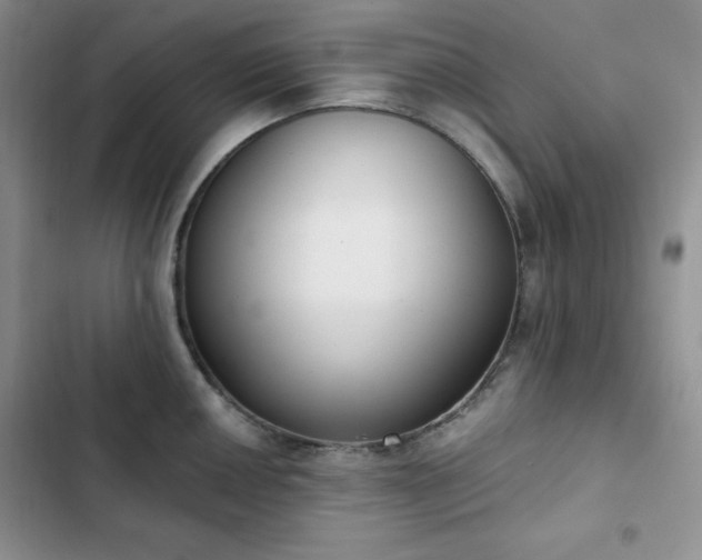 X0000102851050200808251158