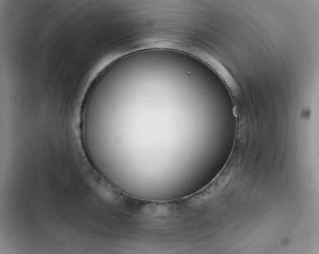 X0000102851051200808251158