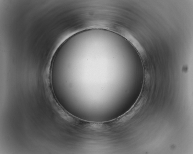 X0000102851052200808251158