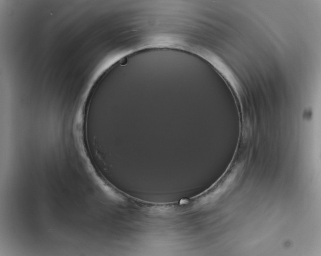 X0000102851053200808251158