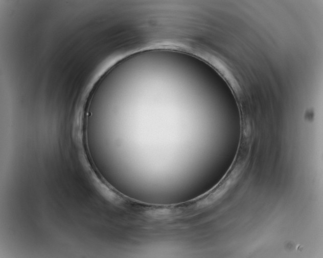 X0000102851054200808251158