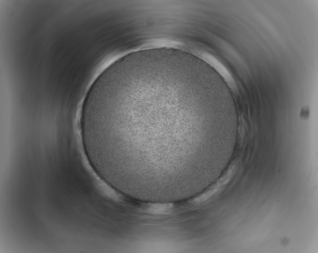 X0000102851055200808251158