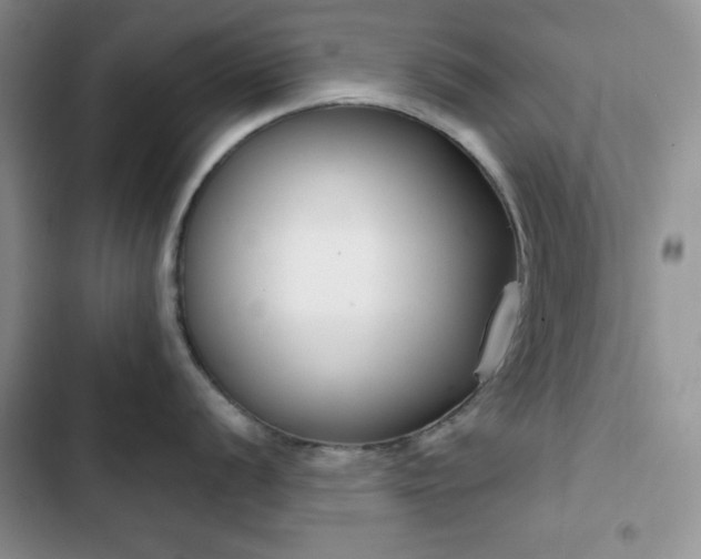 X0000102851056200808251158
