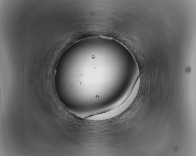 X0000102851057200808251157