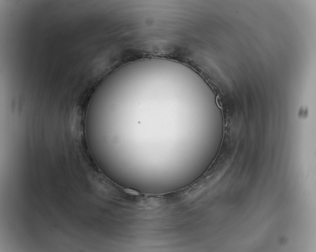 X0000102851058200808251157